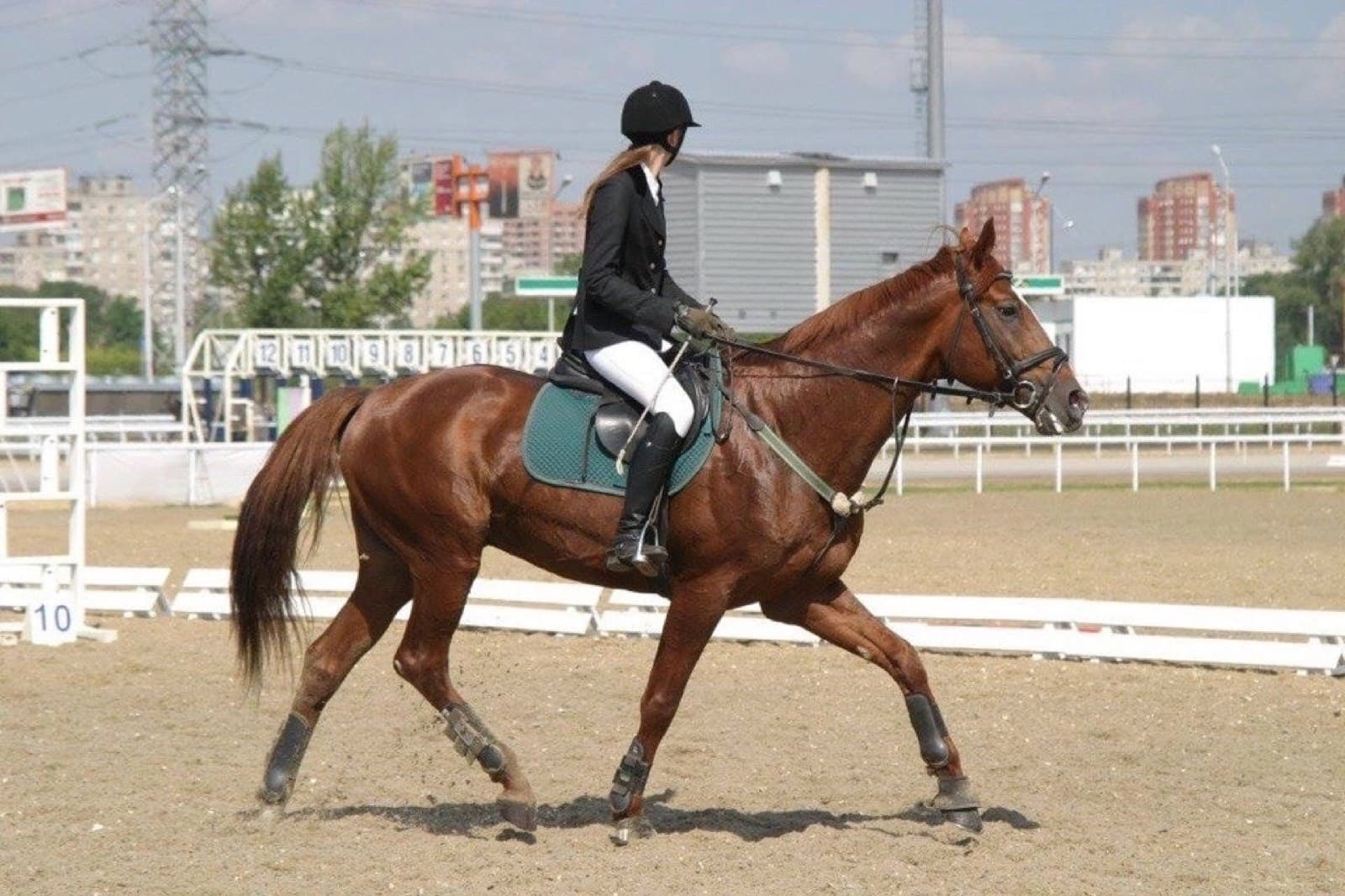 Бамбук (Буч)