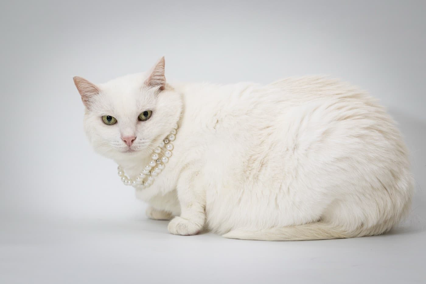 Марта