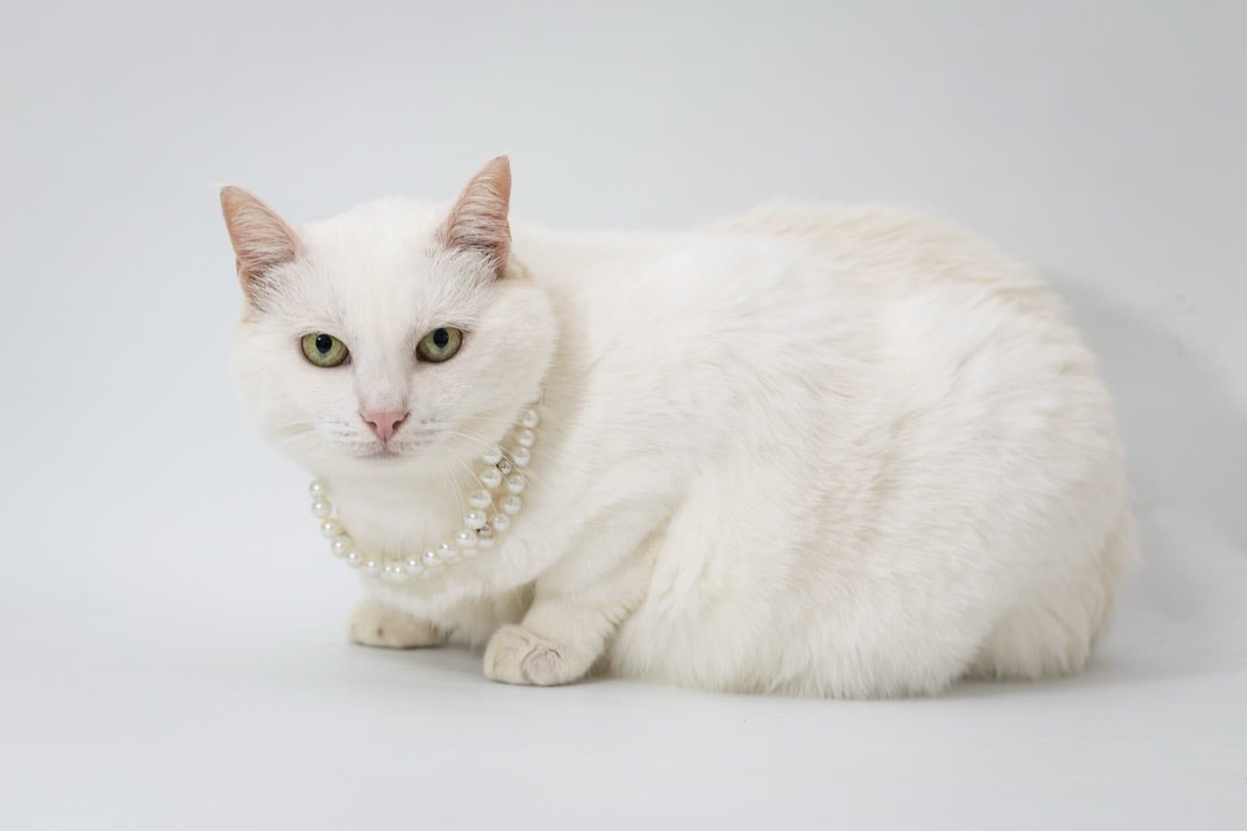 Марта