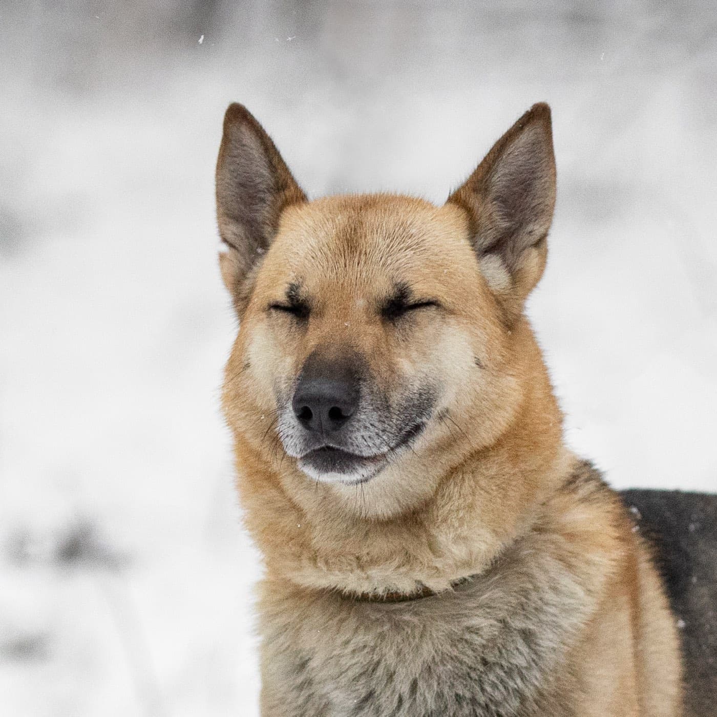 Сабрина