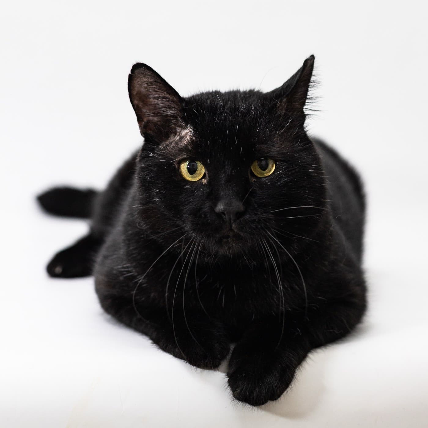 Вася